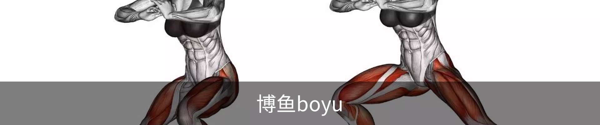 博鱼boyu