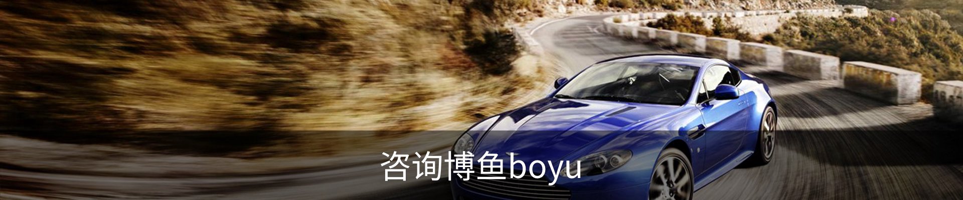 咨询博鱼boyu